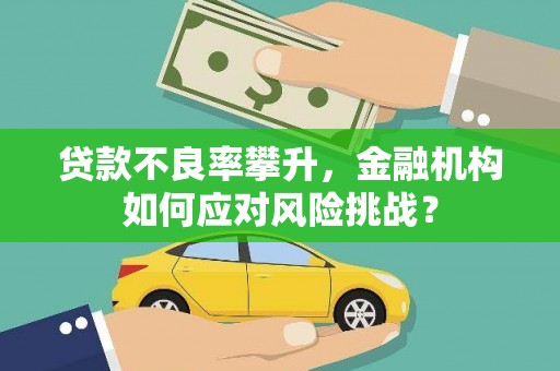 封开贷款不良率攀升，金融机构如何应对风险挑战？