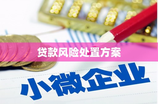 封开贷款风险处置方案